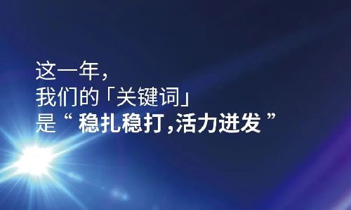 2023这一年，我们的关键词是“稳扎稳打，活力迸发”